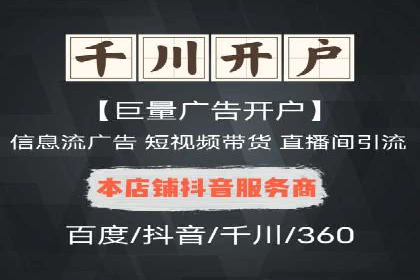 竞价排名中的数据分析和优化案例